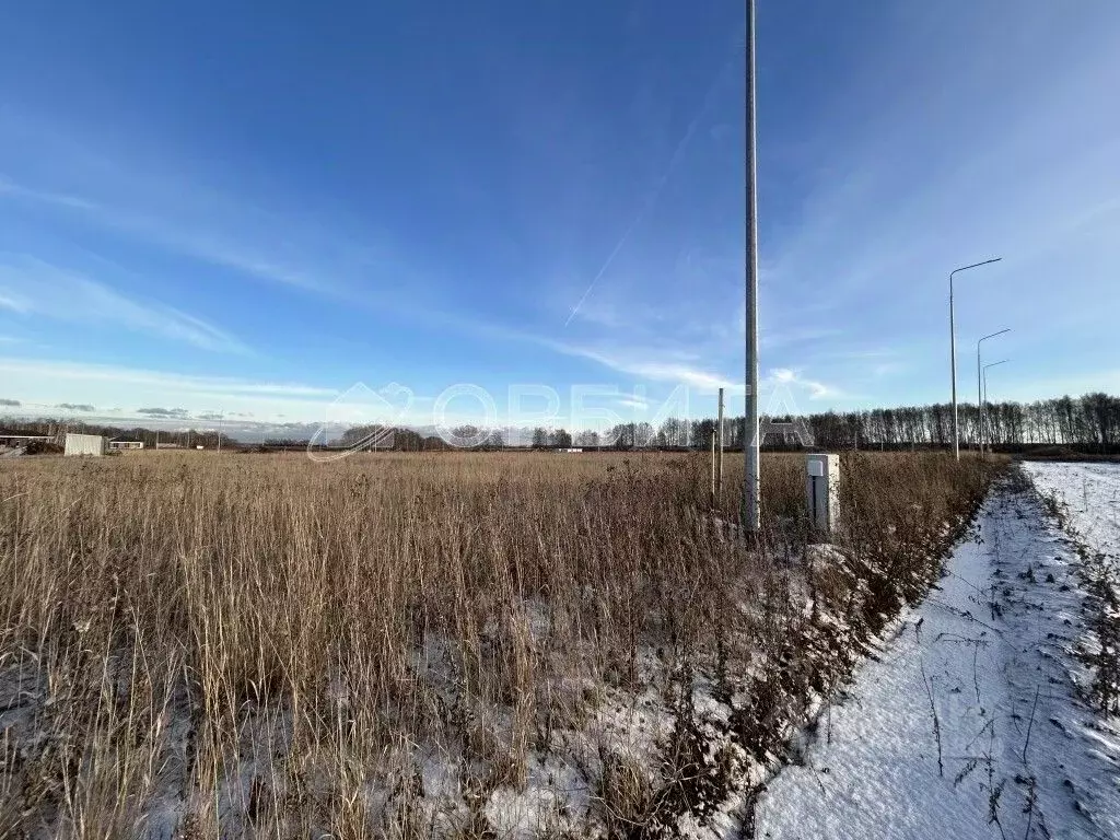 Участок в Тюменская область, Тюменский муниципальный округ, ... - Фото 1