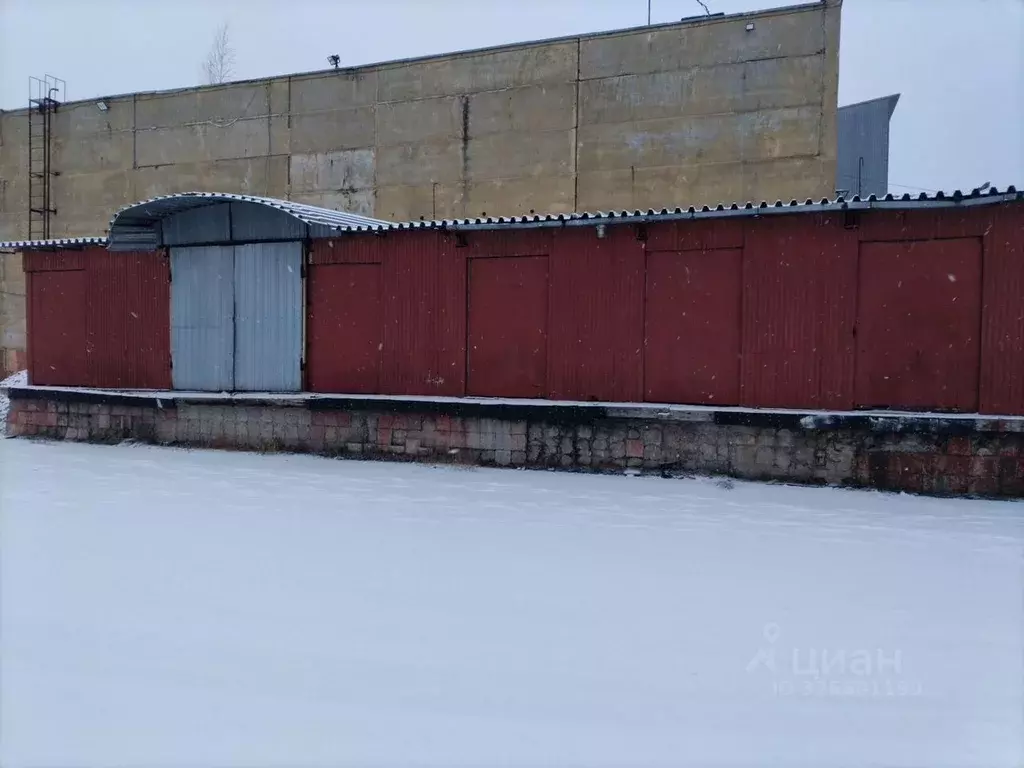 Помещение свободного назначения в Брянская область, Брянск Московский ... - Фото 2