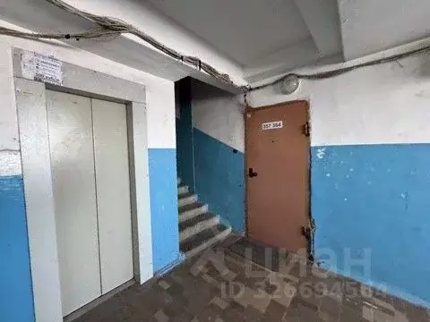 Студия Оренбургская область, Оренбург Промысловый проезд, 21 (17.0 м) - Фото 2