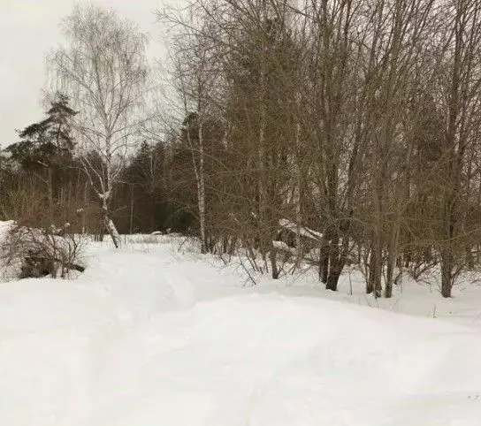 Участок в Московская область, Дмитровский муниципальный округ, пос. ... - Фото 1
