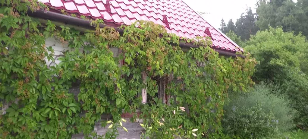 Дом в Карелия, Сортавальский муниципальный округ, пос. Хюмпеля  (36 м) - Фото 0