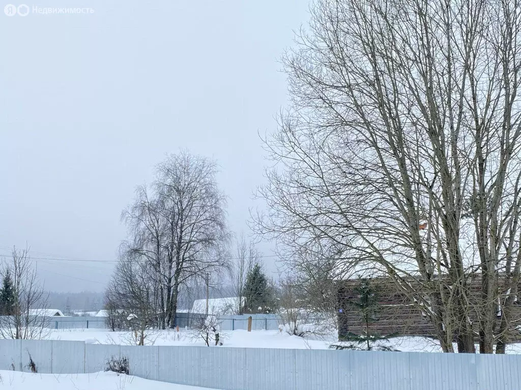 Участок в Вологодская область, Грязовецкий муниципальный округ, ... - Фото 1