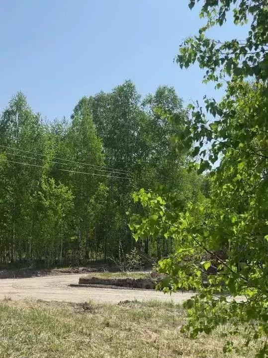 Участок в Новосибирская область, Новосибирский район, Кудряшовский ... - Фото 0