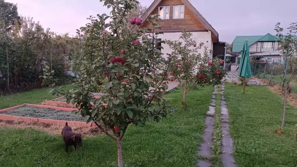 Дом в Ленинградская область, Гатчинский муниципальный округ, ... - Фото 1