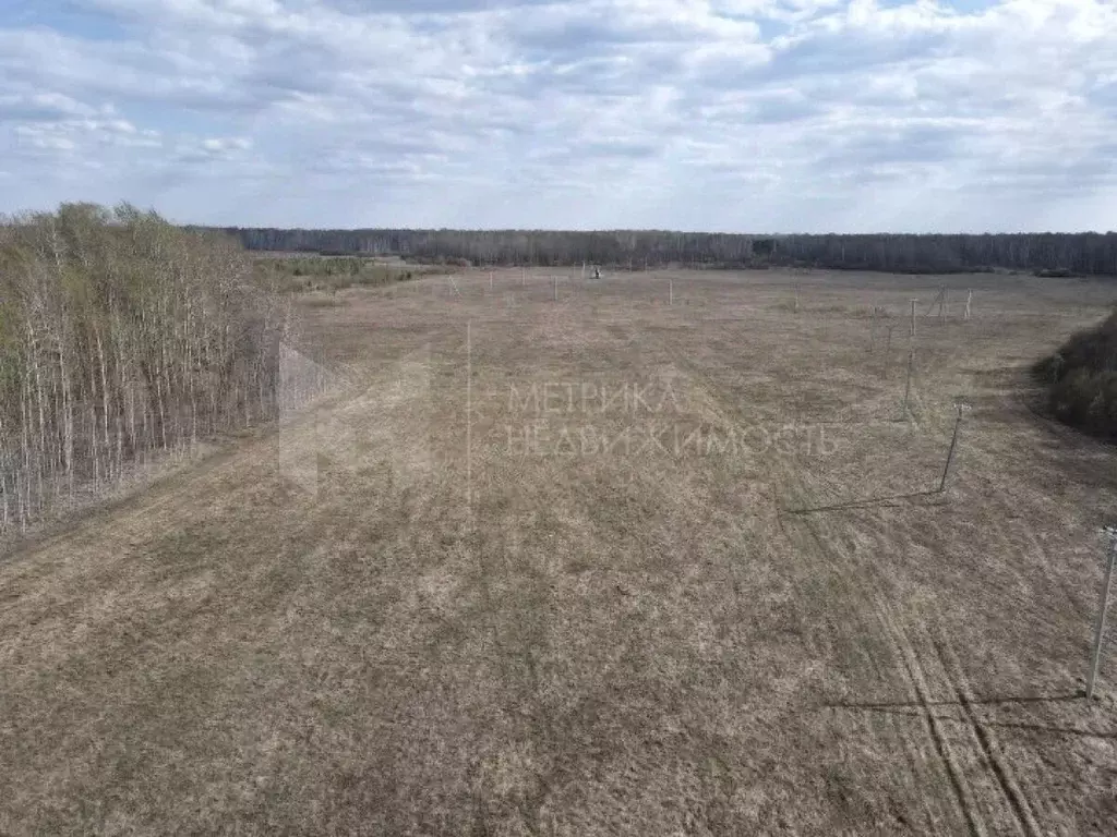 Участок в Тюменская область, Тюменский муниципальный округ, с. ... - Фото 1