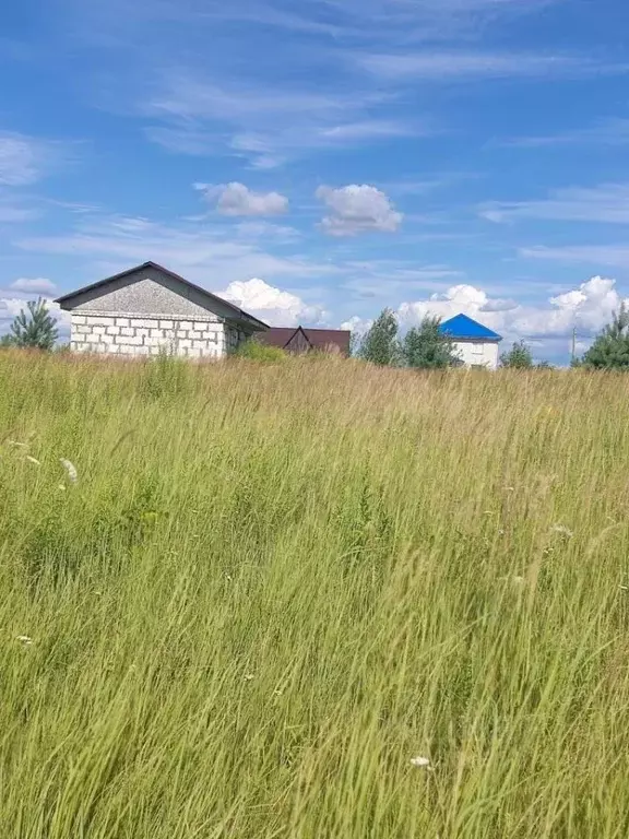 участок в брянская область, брянский район, добрунское с/пос, д. . - Фото 0