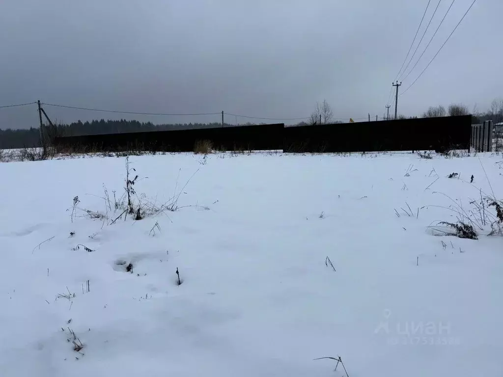 Участок в Московская область, Пушкинский городской округ, д. Никулино  ... - Фото 0