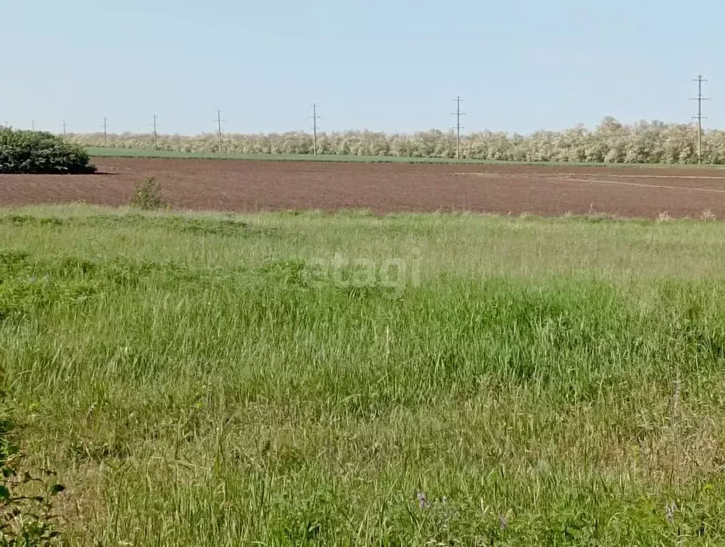 Участок в Краснодарский край, Ейский район, Александровское с/пос, ... - Фото 2