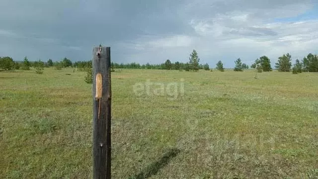 Участок в Саха (Якутия), Якутск городской округ, с. Тулагино, ... - Фото 0