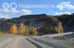 Участок в Онгудайский район, село Иня (20.073 м) - Фото 1