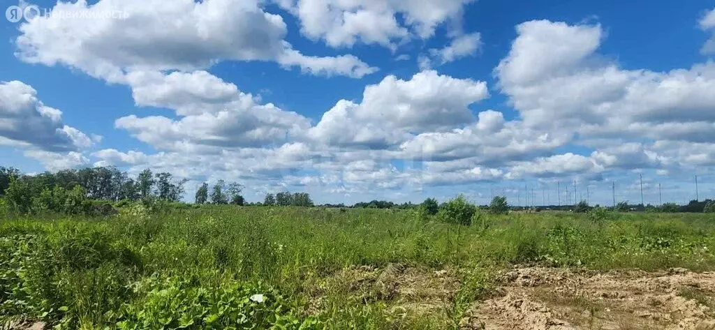 Участок в Ломоносовский район, Лаголовское сельское поселение, деревня ... - Фото 2