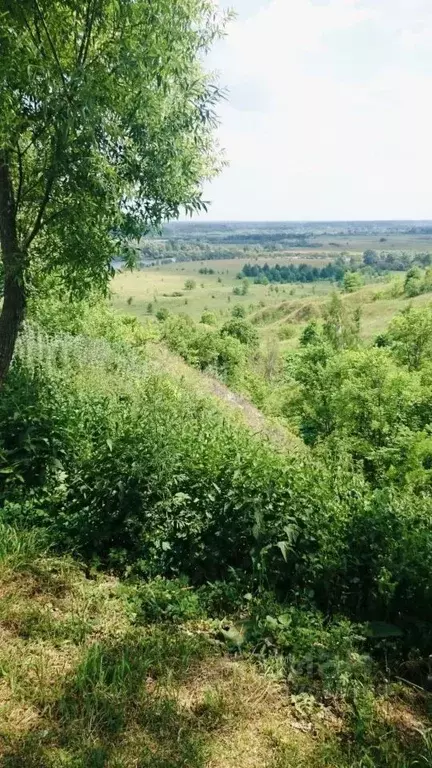 Участок в Брянская область, Трубчевский район, Юровское с/пос, д. ... - Фото 1