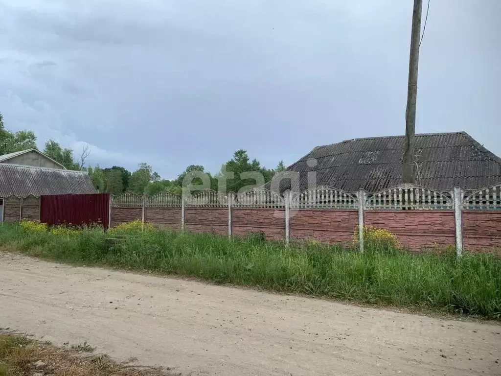 Дом в Брянская область, Дятьковский район, д. Березино Октябрьская ул. ... - Фото 1