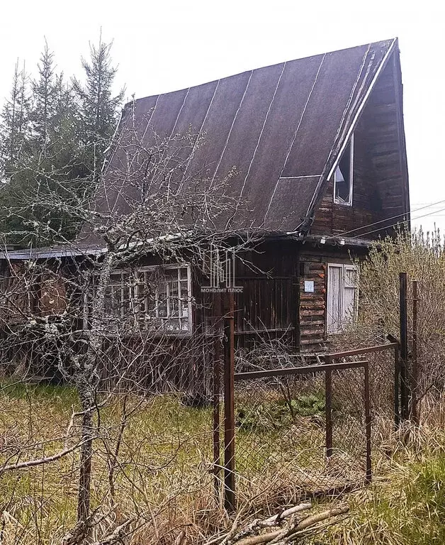Дом в Мшинское сельское поселение, садоводческий массив Мшинская, ... - Фото 1