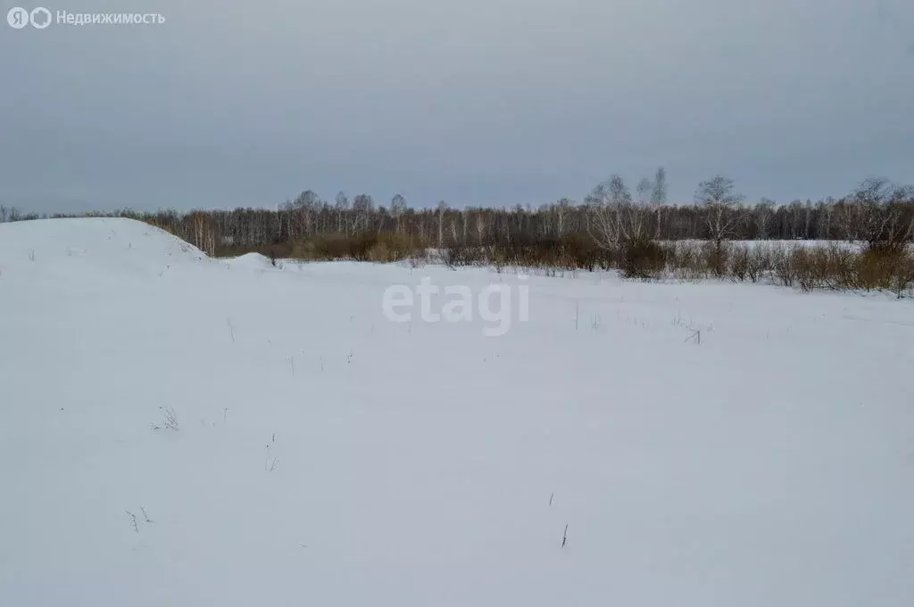 Участок в Кемеровская область, Прокопьевский муниципальный округ, село ... - Фото 0