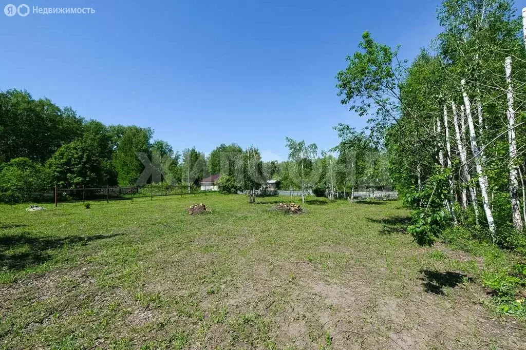 Участок в Искитимский район, село Морозово (10 м) - Фото 0