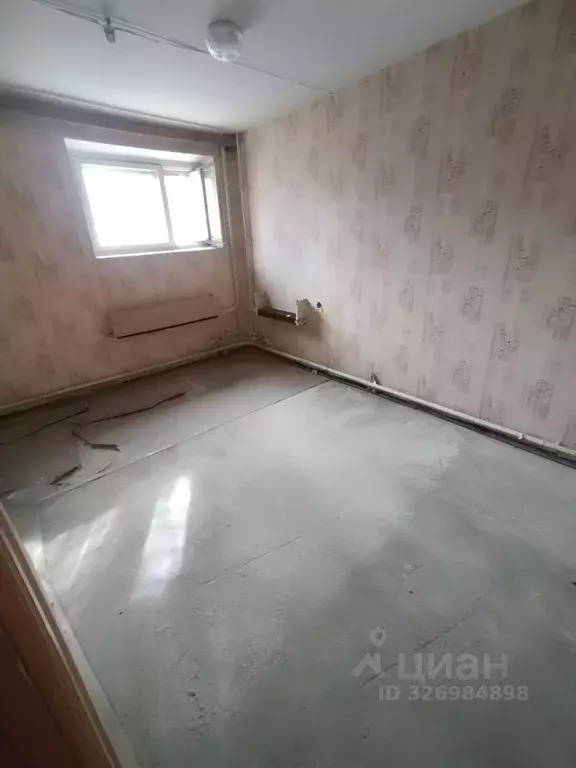 Помещение свободного назначения в Брянская область, Брянск ул. ... - Фото 1