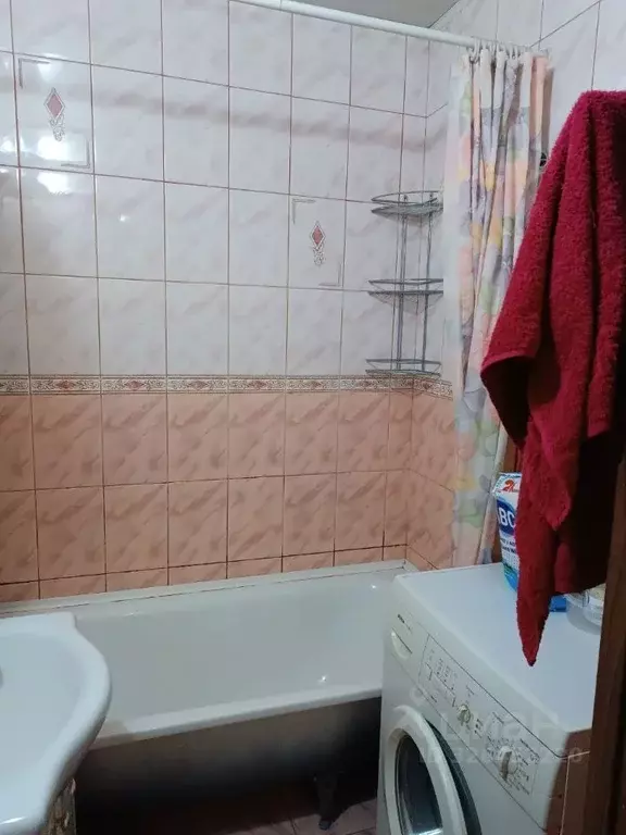 3-к кв. Нижегородская область, Нижний Новгород Мещерское Озеро ... - Фото 2