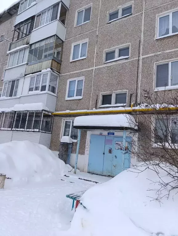 1-к кв. Пермский край, Пермский муниципальный округ, пос. Сылва ул. ... - Фото 1