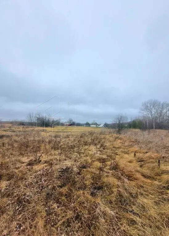 Участок в Мордовия, Лямбирский район, Саловское с/пос, д. Новая ... - Фото 2