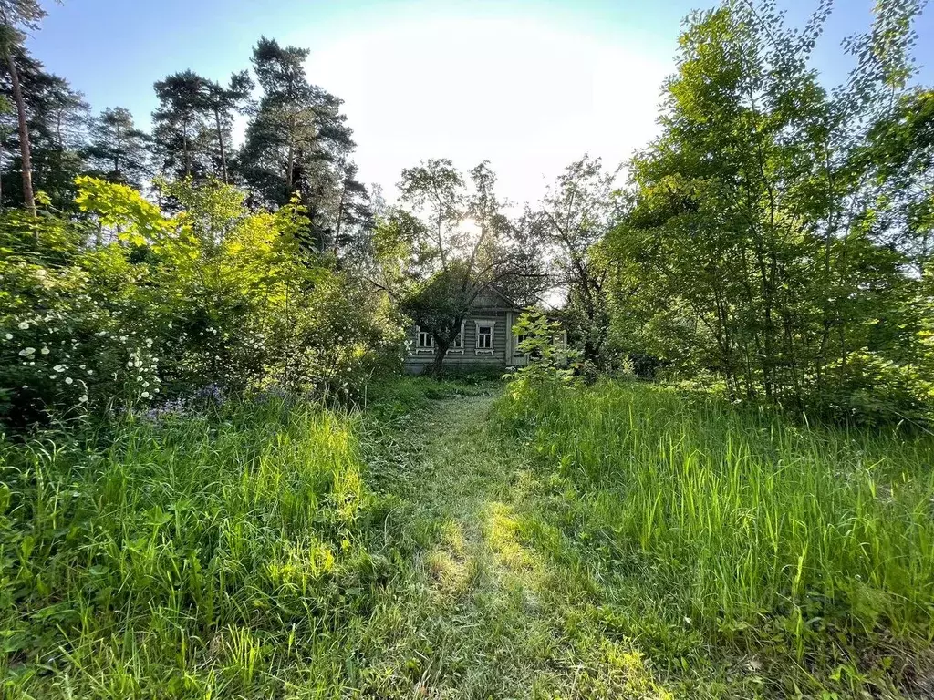 Участок в Московская область, Красногорск городской округ, д. ... - Фото 0