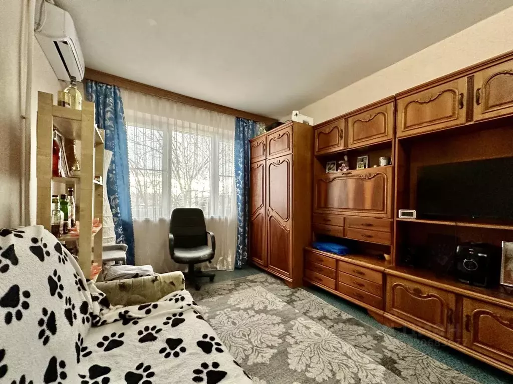 1-к кв. Краснодарский край, Сочи Центральный мкр,  (30.0 м) - Фото 2