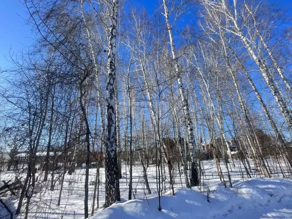 Участок в Челябинская область, Сосновский муниципальный округ, ... - Фото 2