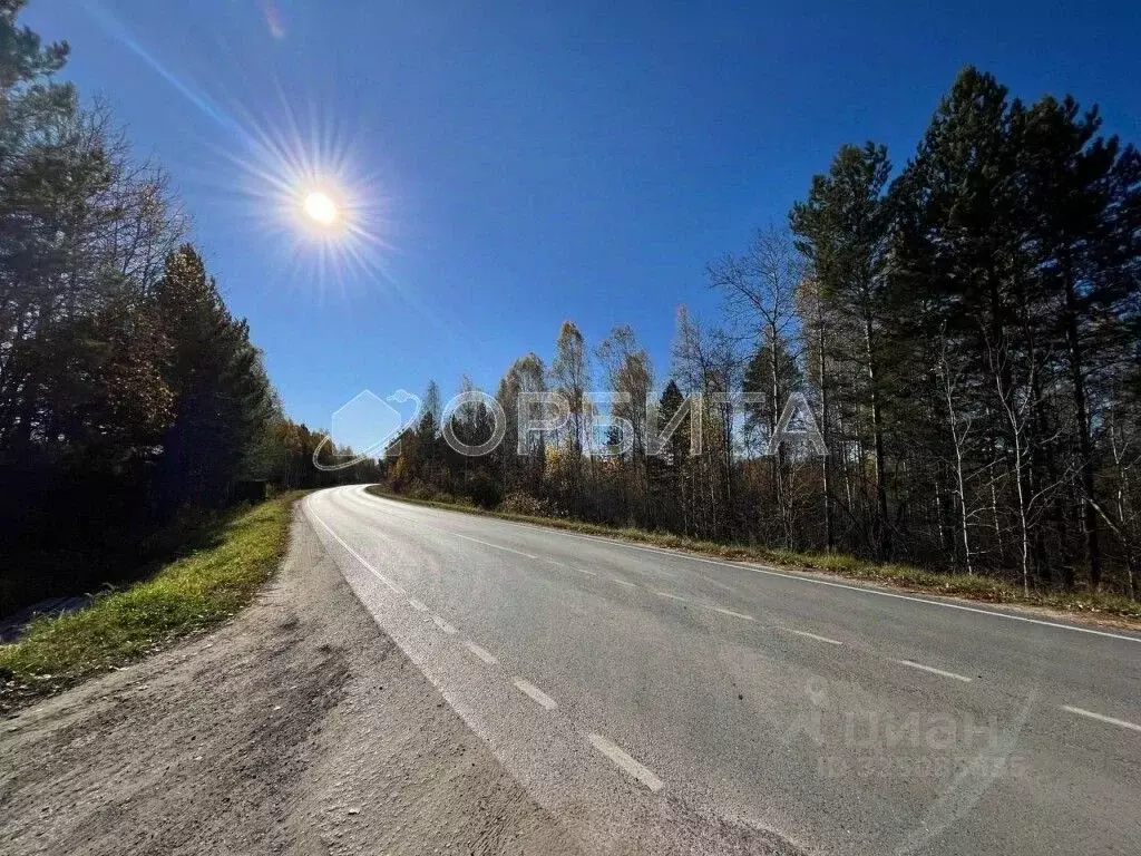 Участок в Тюменская область, Нижнетавдинский муниципальный округ, ... - Фото 1