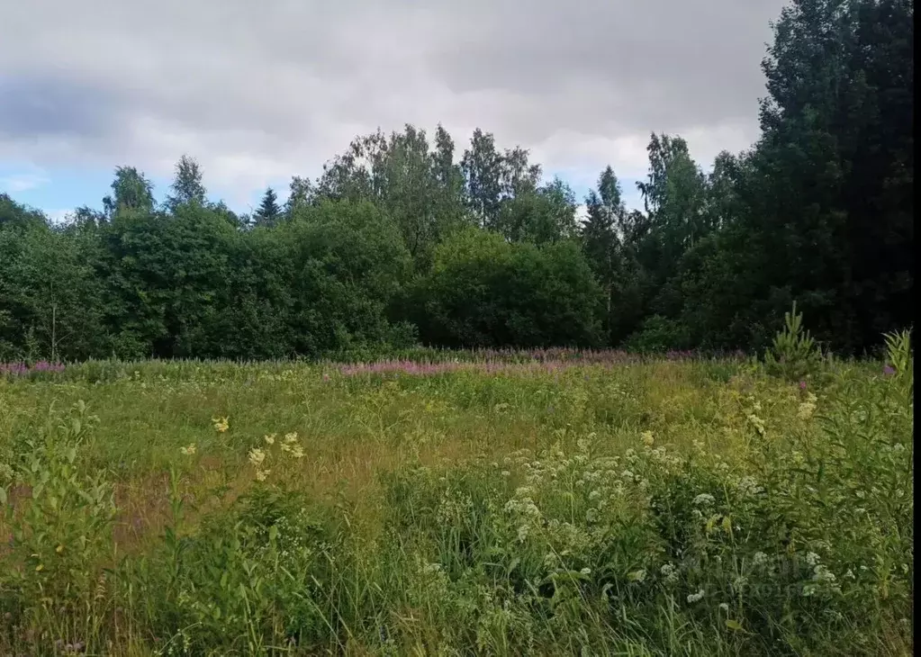 Участок в Карелия, Прионежский район, с. Деревянное ул. Весенняя (10.0 ... - Фото 1