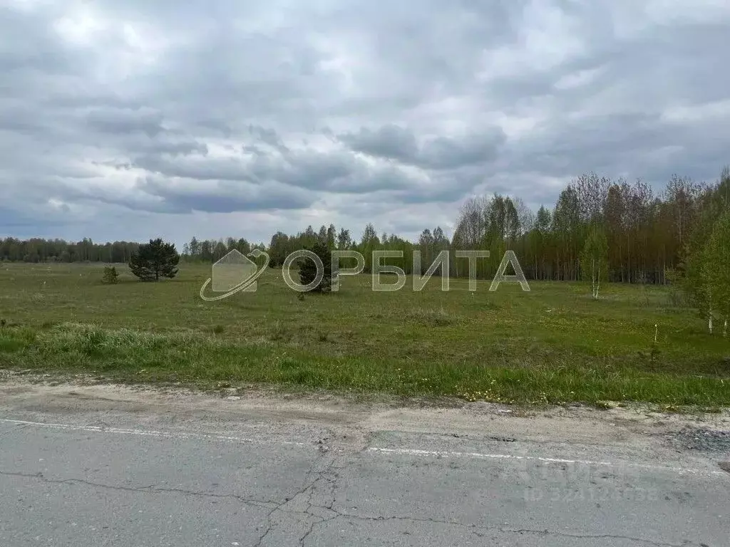 Участок в Тюменская область, Нижнетавдинский муниципальный округ, пос. ... - Фото 1