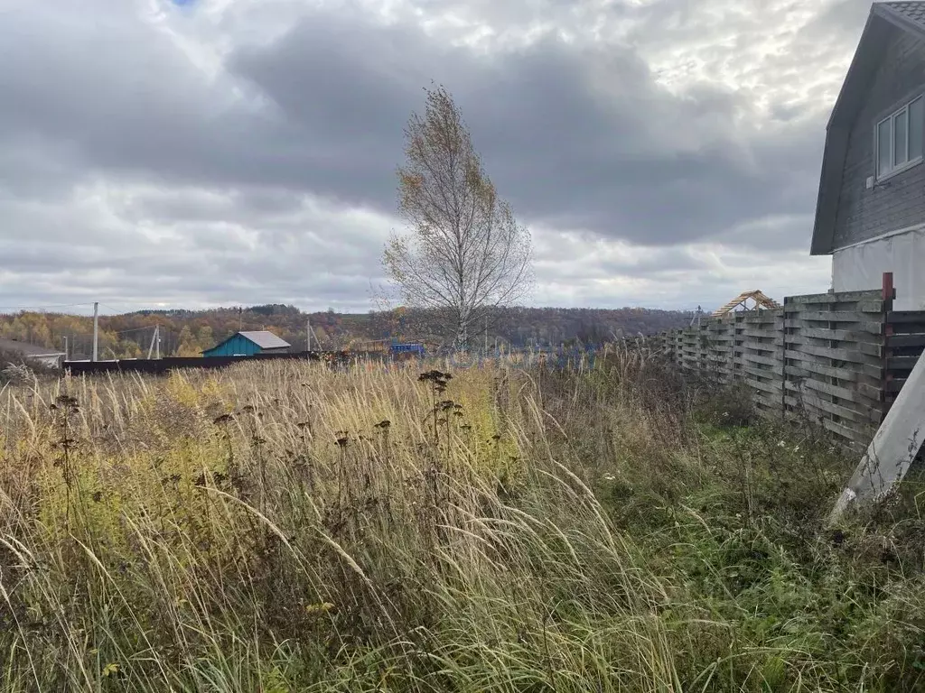 Участок в Нижегородская область, Богородский муниципальный округ, д. ... - Фото 1