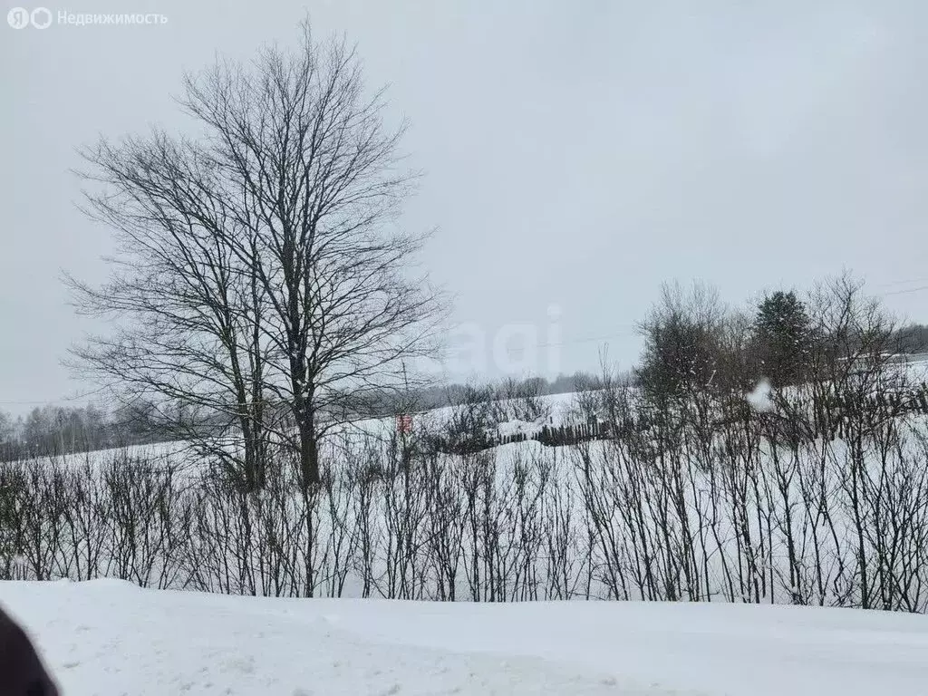 Дом в Ярославский муниципальный округ, деревня Молозиново (59.9 м) - Фото 1