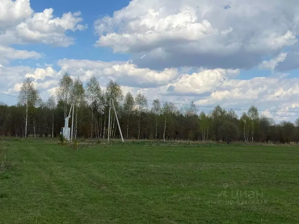 Купить Участок В Селе Каринское Около Звенигорода