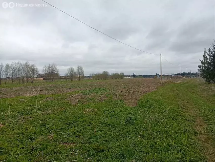 Участок в Волосовский район, деревня Клопицы (65 м) - Фото 1