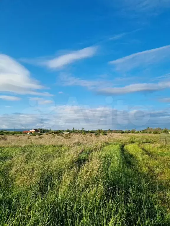 Участок 1,1 га (СНТ, ДНП) - Фото 0
