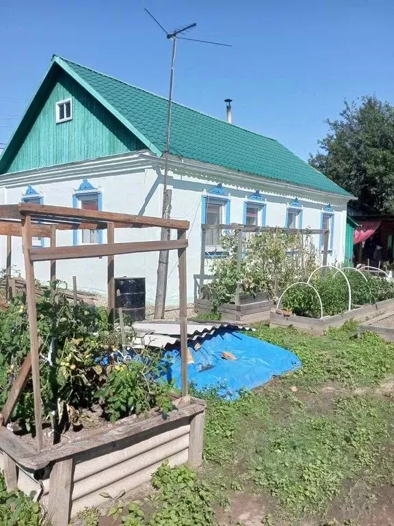 Дом в Еврейская автономная область, Биробиджан пос. Швейный, ул. ... - Фото 1