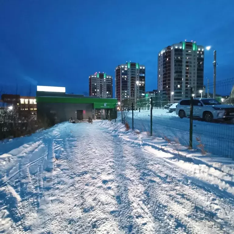 Торговая площадь в Удмуртия, Ижевск ул. Ленина, 94Б (120 м) - Фото 2