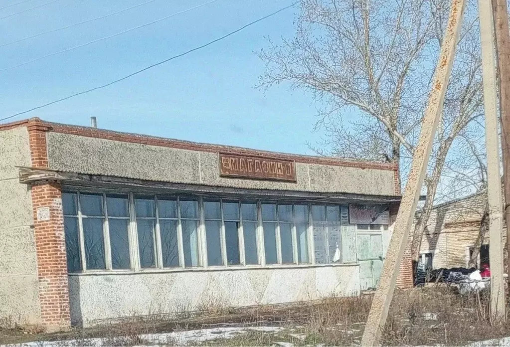 Помещение свободного назначения в Челябинская область, Чебаркульский ... - Фото 0