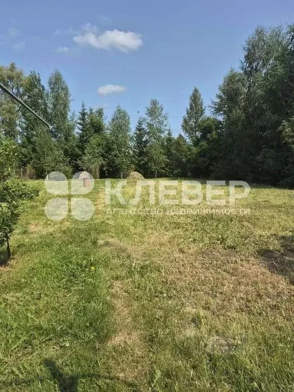 Участок в Пермский край, Чернушинский муниципальный округ, д. Большой ... - Фото 1