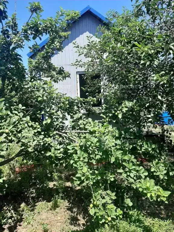 Дом в Волгоградская область, Светлоярский район, Большечапурниковское ... - Фото 1