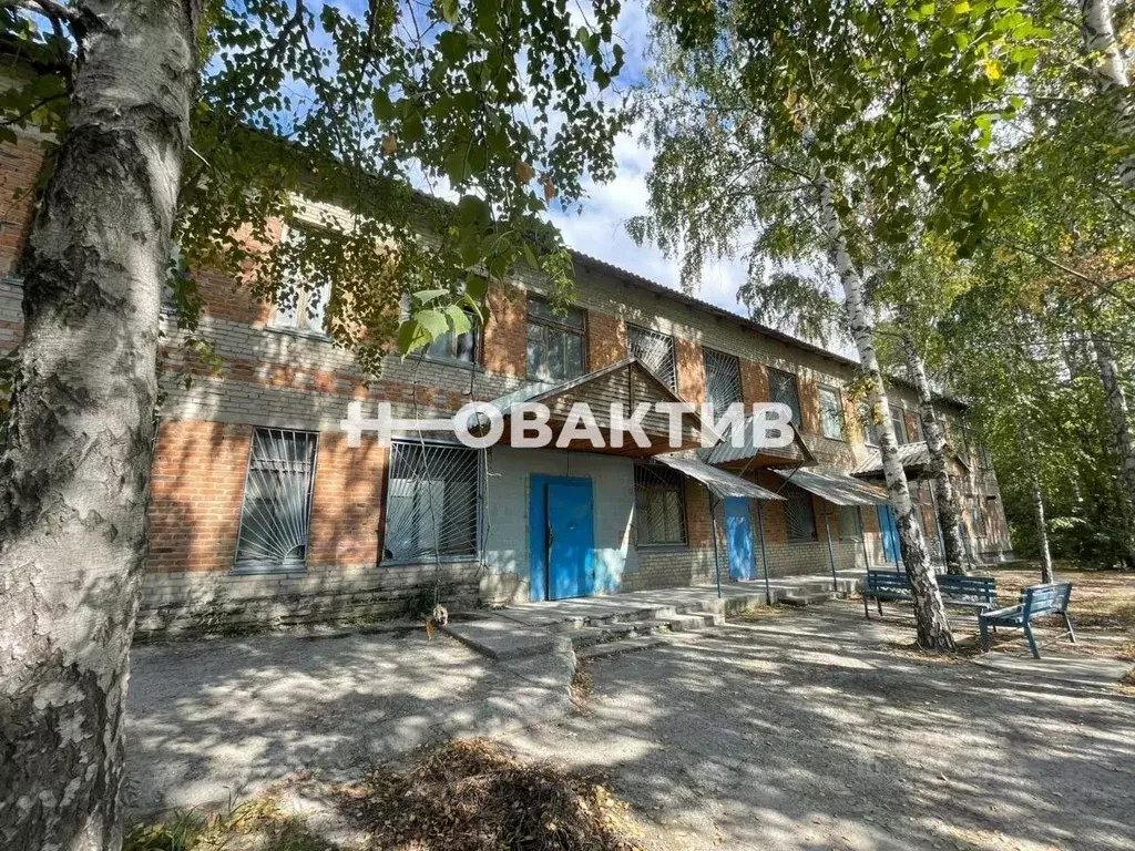 Помещение свободного назначения в Новосибирская область, Искитим ... - Фото 0