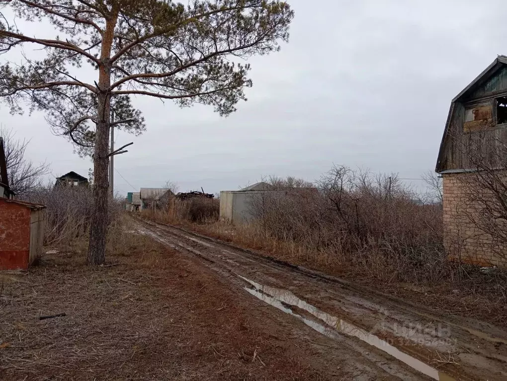 Участок в Оренбургская область, Оренбургский район, Экспериментальный ... - Фото 0