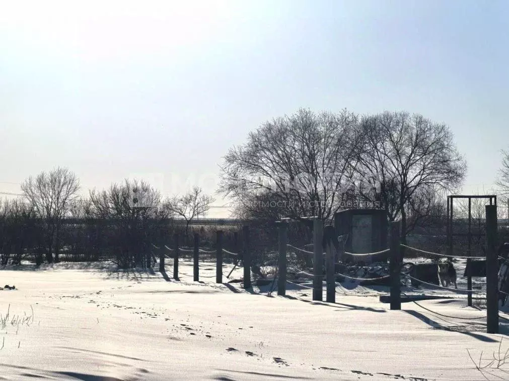 Участок в Амурская область, Белогорский муниципальный округ, с. ... - Фото 1