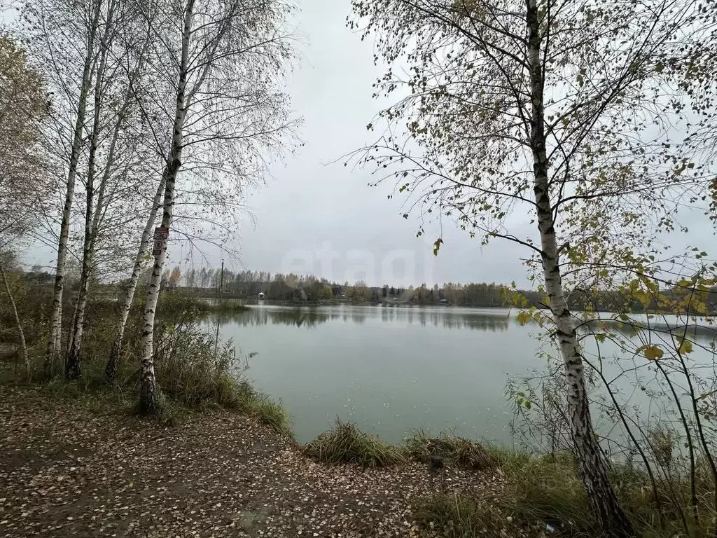 Участок в Брянская область, Брянский район, Новодарковичское с/пос, д. ... - Фото 1