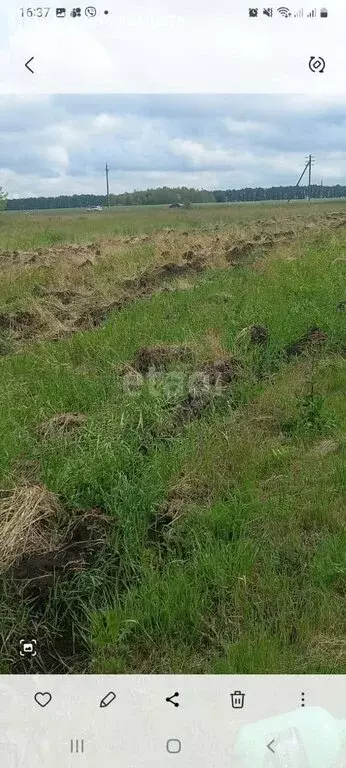 Участок в село Борщевое, Центральная улица (20 м) - Фото 1