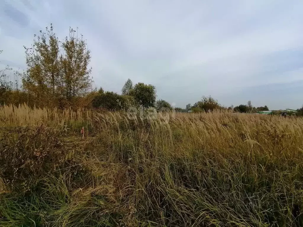 Участок в Владимирская область, Ковровский район, Малыгинское с/пос, ... - Фото 2