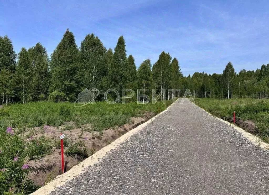 Участок в Тюменская область, Нижнетавдинский муниципальный округ, ... - Фото 1