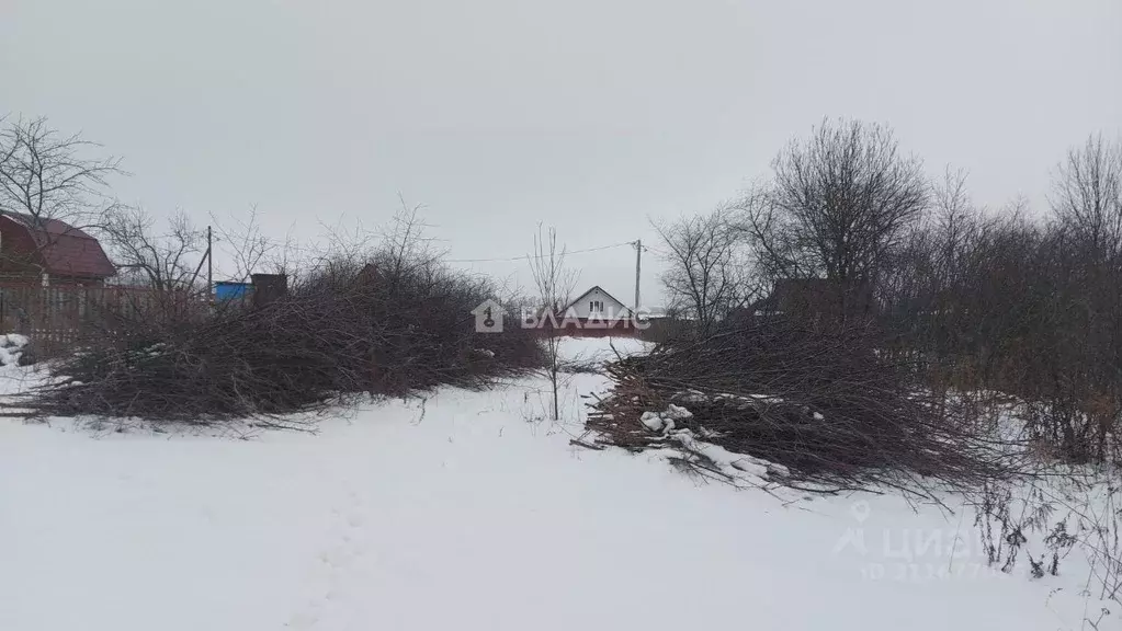 Участок в Владимирская область, Суздальский район, Павловское ... - Фото 0