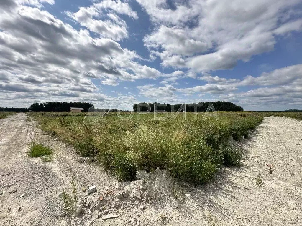 Участок в Тюменская область, Тюменский район, с. Горьковка  (7.52 ... - Фото 2