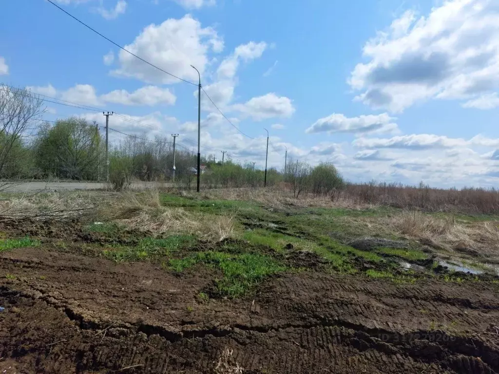 Участок в Хабаровский край, Хабаровский район, Тополевское с/пос, с. ... - Фото 1